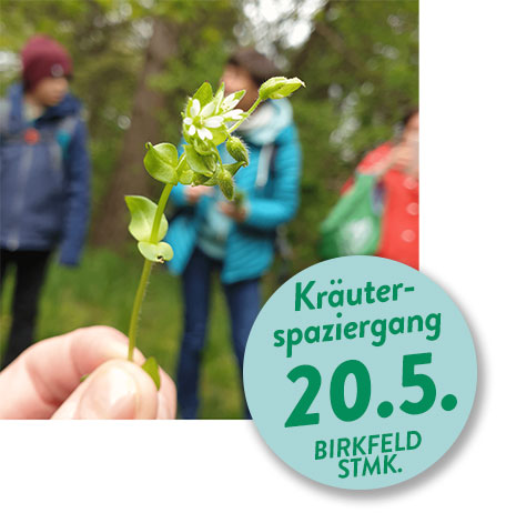 kräuterwanderung_grünzeug_Birkfeld_Flashpng Kräuterwanderung Steiermark